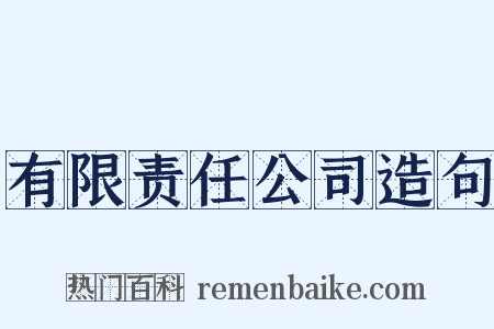 有限责任公司造句是什么意思的图片